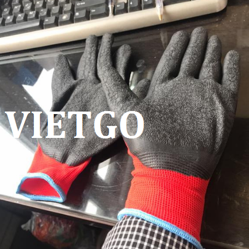gangtay-vietgo-280119